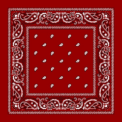 Paisley Bandanas