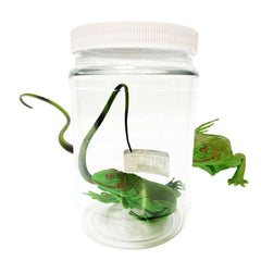 Iguana Specimen Jar