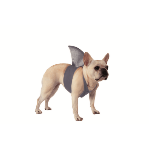 Grey Shark Fin Pet Harness