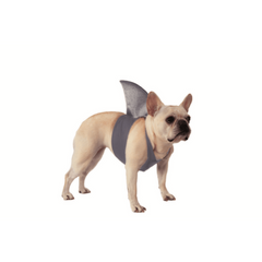 Grey Shark Fin Pet Harness