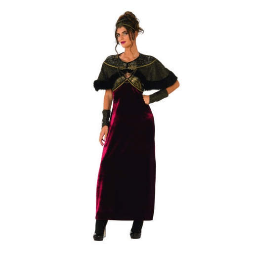 Lady Renaissance Dress Women's Costume