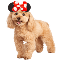 Minnie Mouse Pet Headpiece