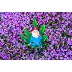 Good Time Ganja Throne LED Gnome