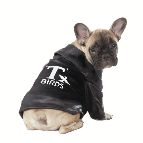 Grease T-Birds Jacket Pet Costume