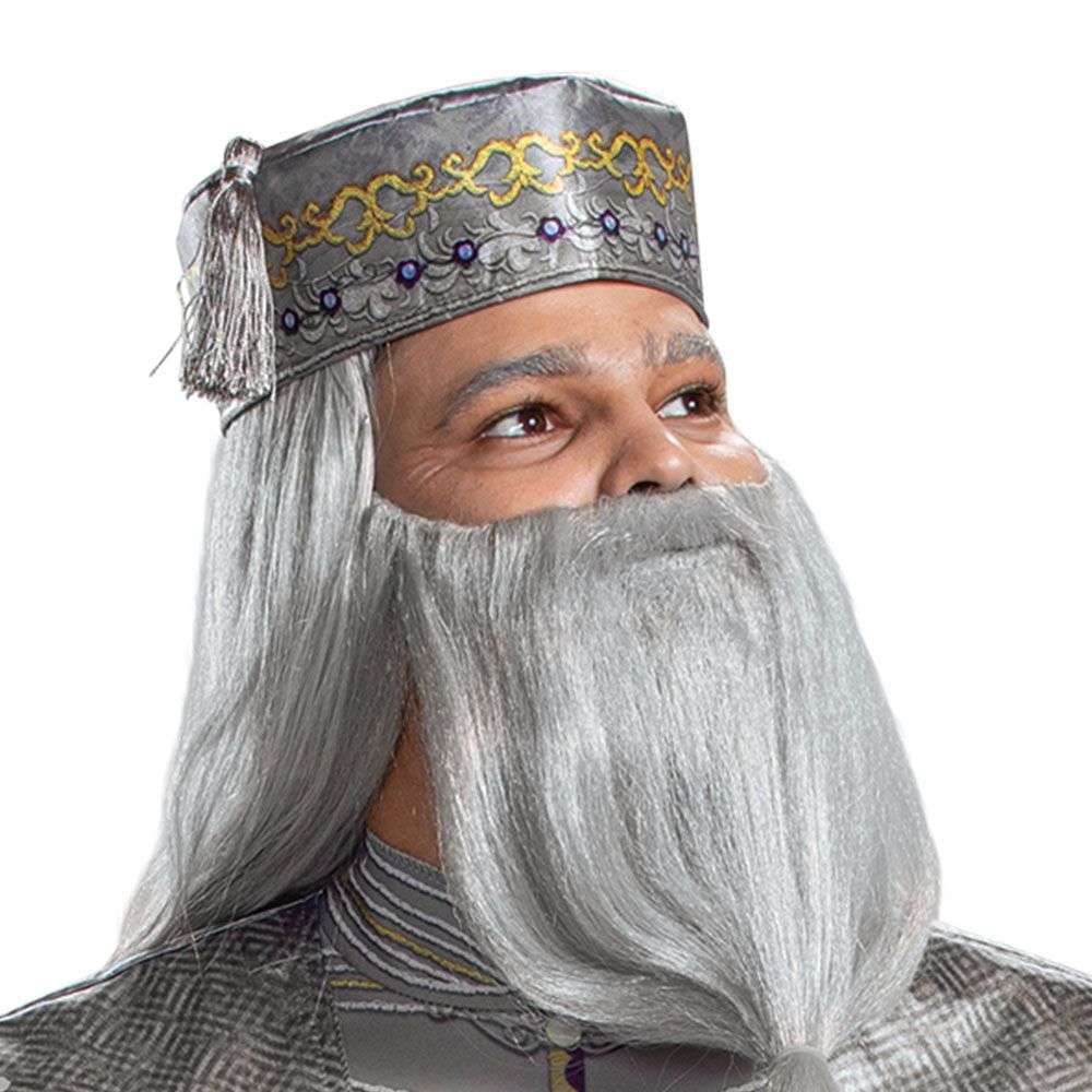 Deluxe Harry Potter Dumbledore Men's Costume