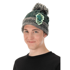 Harry Potter Slytherin Heathered Pom Beanie