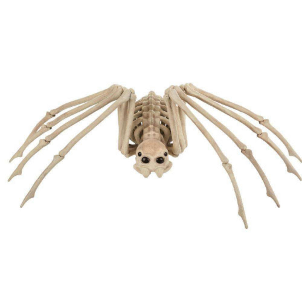 Spider Skeleton Decoration