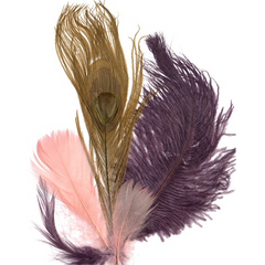 Ostrich, Hackle & Goose coquille Mixed Feather Package