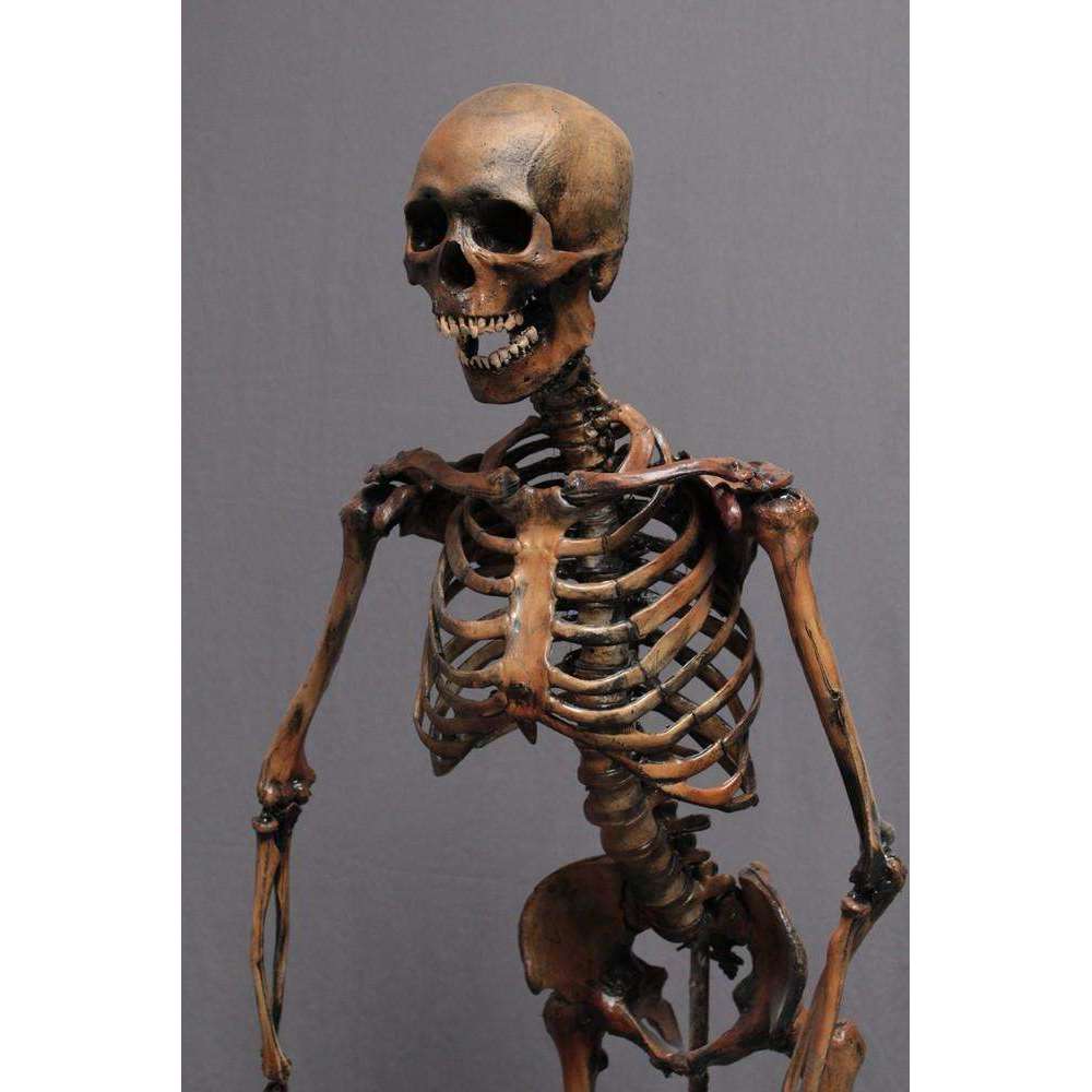 Crime Scene Skeleton - Antique Brown