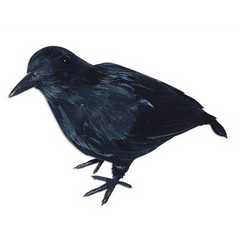 Realistic Crow - Lifesize Wings