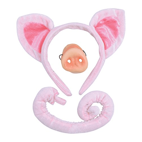 Pig Accessory Kit