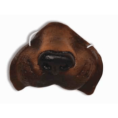 Brown Dog Nose