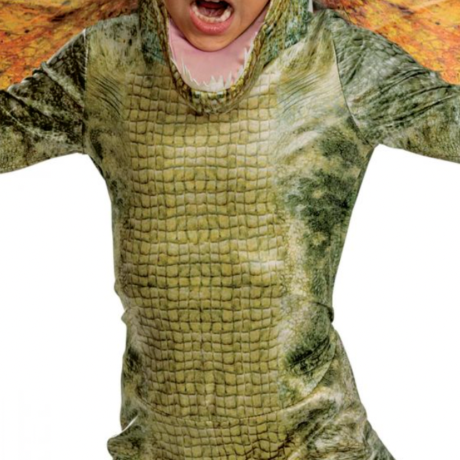 Deluxe Jurassic World Dilophosaurus Child Costume