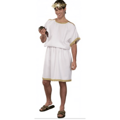 Partigus Tunic Adult Costume