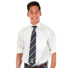 Harry Potter Hogwarts Ravenclaw Tie