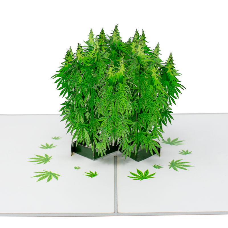 Pot Plant 3D Weed Plant Themed Card