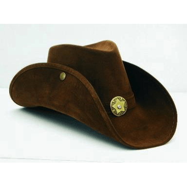 Brown Leather like Cowgirl Hat