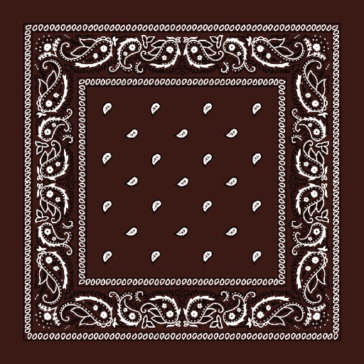 Paisley Bandanas