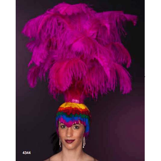 Ostrich Headpiece with Multicolor Goose Wig