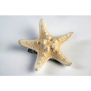 Mermaid Starfish Hairclip