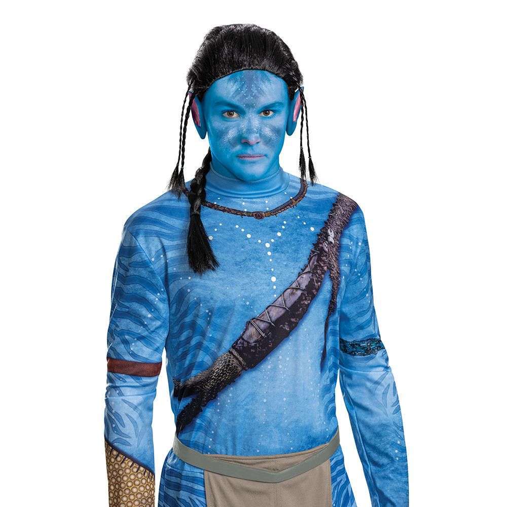 Classic Avatar Jake Adult Wig