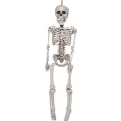 36” Plastic Skeleton