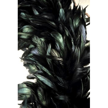 Black Iridescent Coque/Hackle Boa