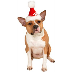 Pet Santa Hat w/ Paw Print