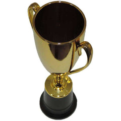 Gold Trophy Cup Award