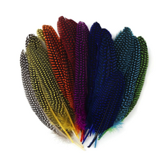 Assorted Guinea Rounds Feathers