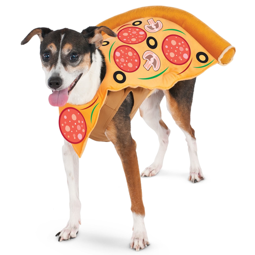 Pizza Slice Pet Costume