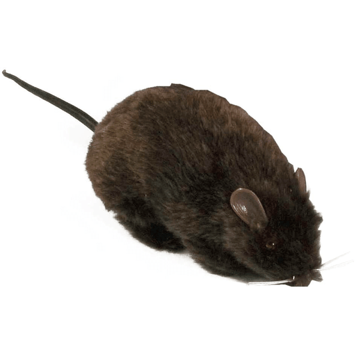 Furry Black Rat Prop