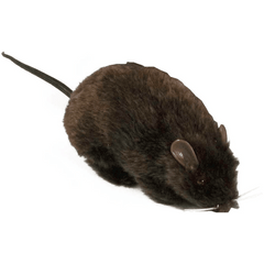 Furry Black Rat Prop