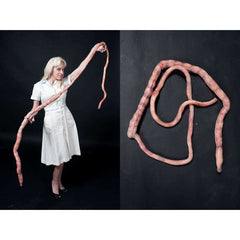 8' Realistic Flex Intestines Prop