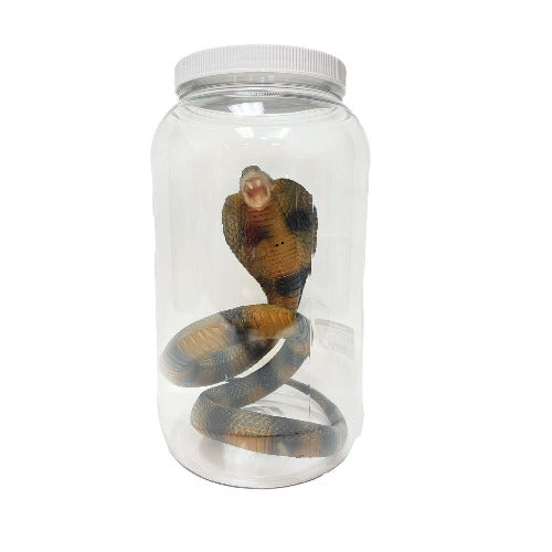 Cobra Specimen Jar