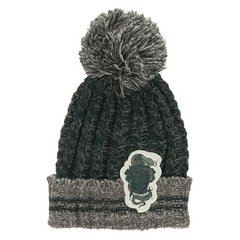 Harry Potter Slytherin Heathered Pom Beanie