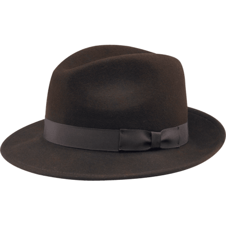 Brown Fedora Hat