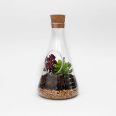 Chemistry Terrarium Kit