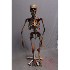 Crime Scene Skeleton - Antique Brown