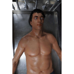 David Realistic  Full Body Prop - Tan