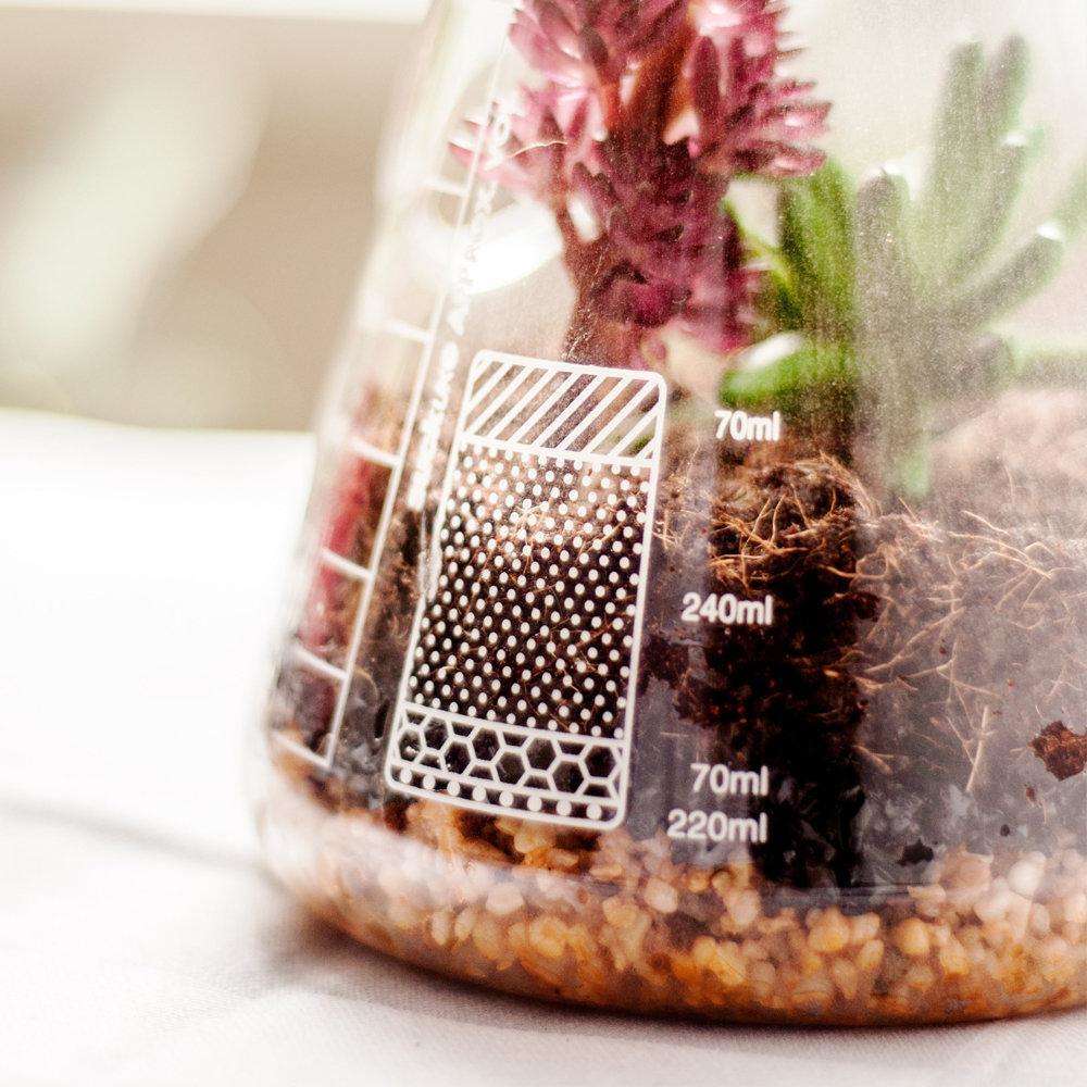 Chemistry Terrarium Kit