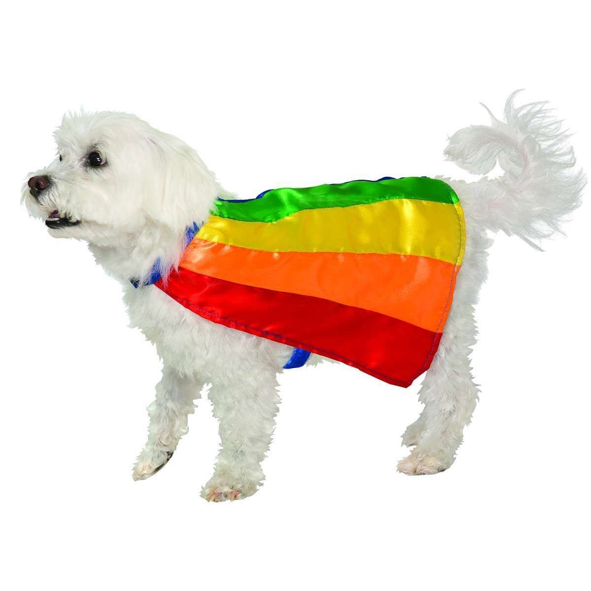 Rainbow Pet Cape