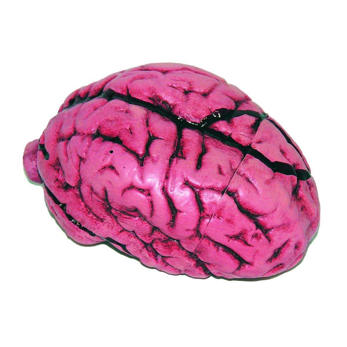 Deluxe Bloody Brain Prop