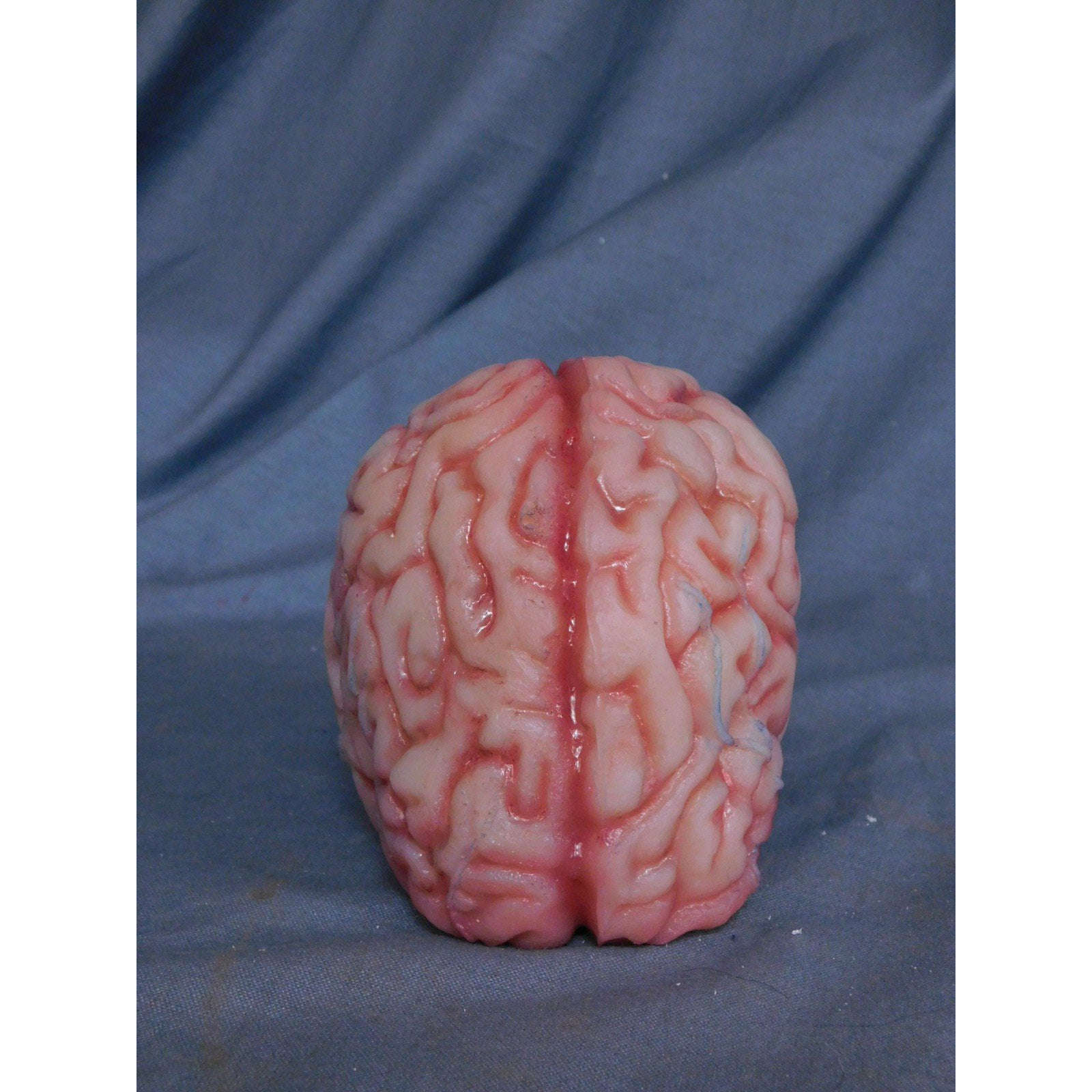 Realistic Silicone Rubber Life Size Brain