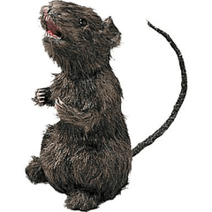 Realistic Standing Rat