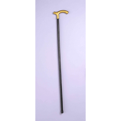 Walking Cane