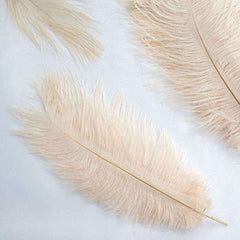 12"-15" Ostrich Drab Feather