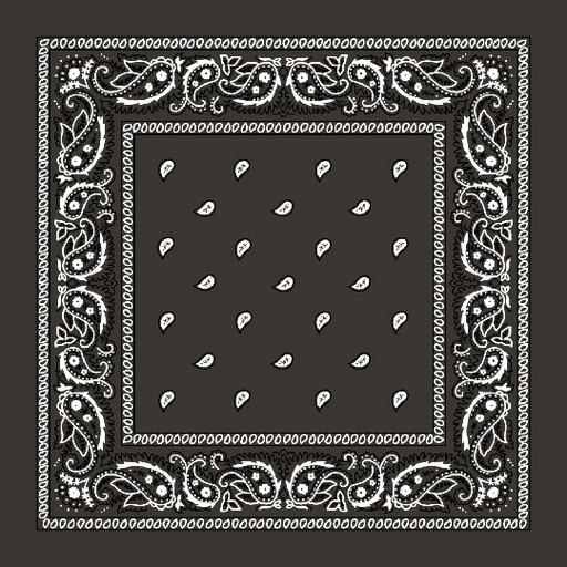 Paisley Bandanas