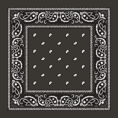 Paisley Bandanas