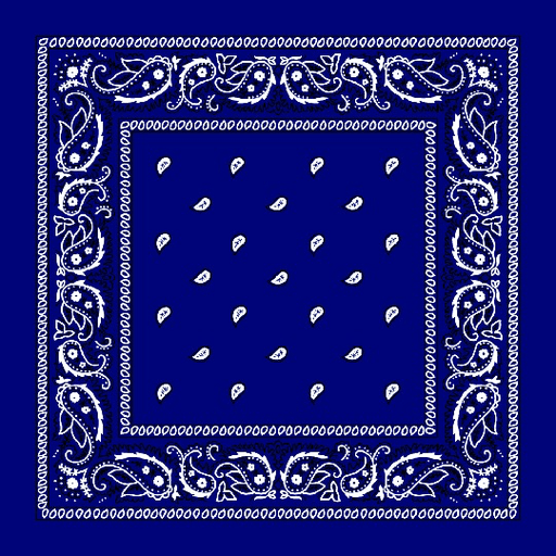 Paisley Bandanas